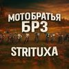 nottoxevil