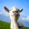 davidprogorilatag123