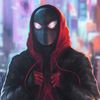 theunfriendlyspider