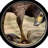 ostanytpro
