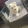 sunshinestacey123