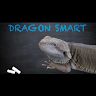 Dragon Smart
