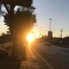 tony_vargast