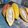 pjuanamaribel
