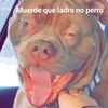 davideduardo152