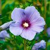 devon_0925