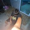 user972130870