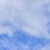 userskyribbon8