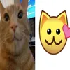 derekk444