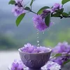batdongsantayho79