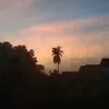 ewss0