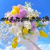 habas_haedar