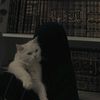 rahma.ahmed1.0