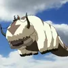 cowi20