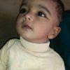 shaidabba7145