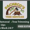pachecojr46