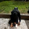 crisjuniorcr