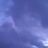 mi_mi699
