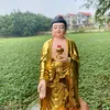nguyentuanlinh2