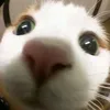floraysip