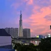 phuongle03011991