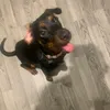 loulou081219
