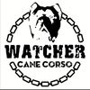 watcherkennel