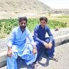 asadalimari1