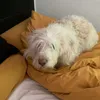 sandraa_48