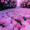 rahafrahaf126
