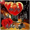 user25046669