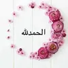 wahibawahib0