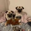 kellymcalister5