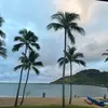 islanddreamer19