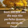 chefinho323