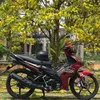 lamthanhvy1995