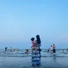 van_vy3