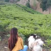 tannu_2406