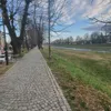 bozidarn