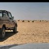 hmady_alshibiy_05