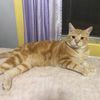leosunnyville