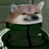 srtodynhotm