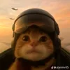 guiduarte_11