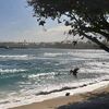 ocean_run19