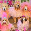 petpalace369