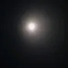 loho0867