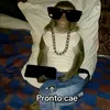 alex__xz3