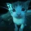 my_moments3