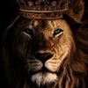 Pure_artx7