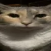 cool_autistic_gamer546